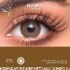 عدسات هيفاء كاكاو Haifa Cacao Lenses