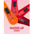 تنت سائل فلورمار Water Lip Stain Flormar